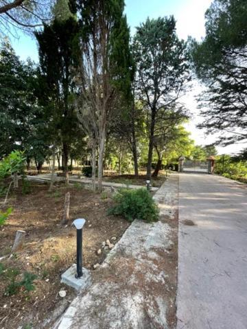 B&B A Pochi Passi Dal Mare Giovinazzo Luaran gambar
